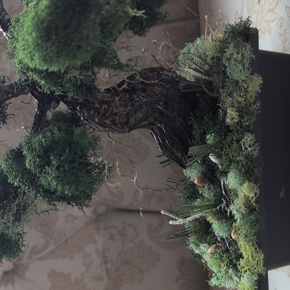 Hand Made Bonsai Tree - Picture 4 of 6